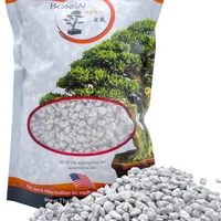 Image of a Pumice