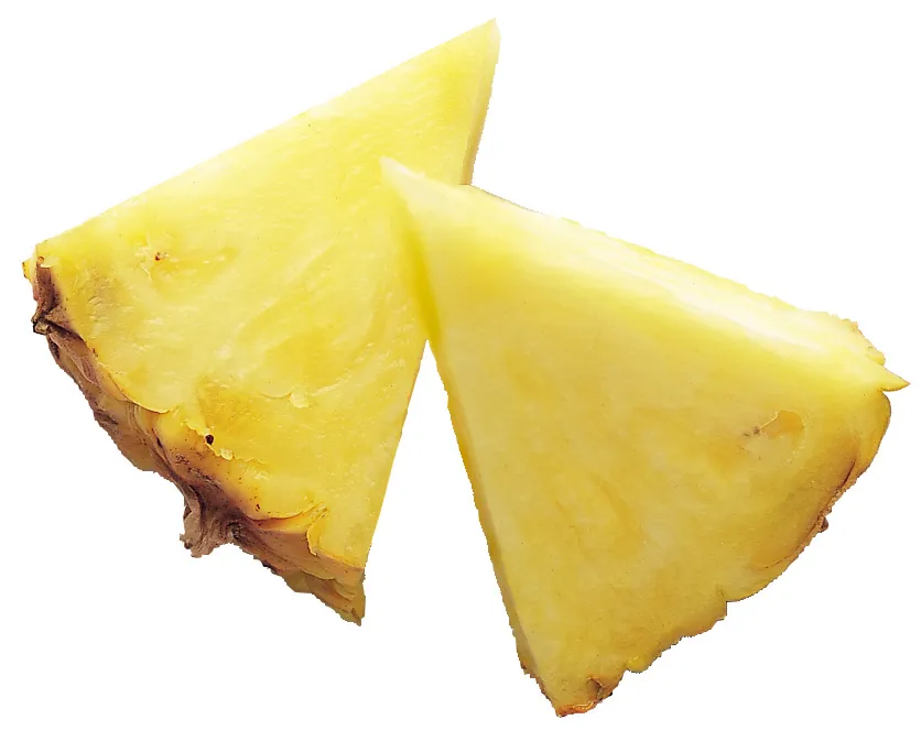ananas comosus plant showing characteristic features